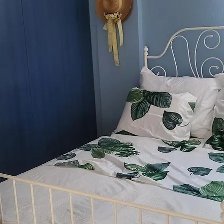 Alina S House Trani Ammouda Halkidiki Tatil Evi *